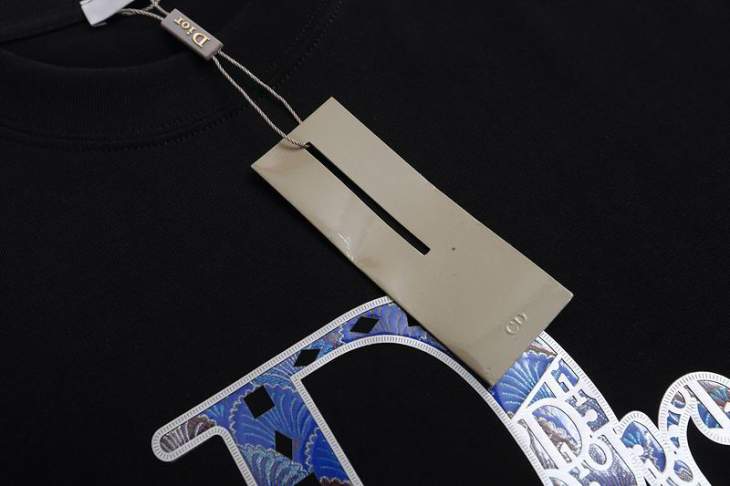 Dior T Shirts Short _SKUDiorS-XLjdtx192915736